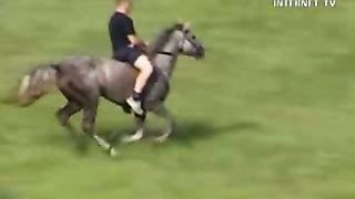 Ощути силу перемен - Авторитет для сироты