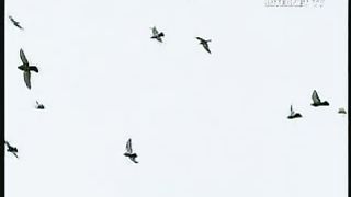 Ощути силу перемен - Самвел Харатян