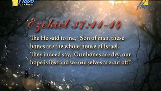 Возрождение и Преобразование 2 - Дерек Моррис