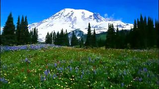 Путь ко Христу 8 - vozrastanie vo xriste