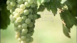 Путь ко Христу 8 - vozrastanie vo xriste