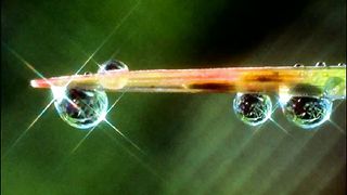 Путь ко Христу 12 - kak bit s somneniyami