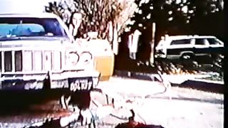 Такова жизнь: Клоун