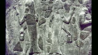 Вальтер Вайт 19 - Вино Вавилона