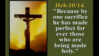 Вальтер Вайт 20 - Женщина на звере