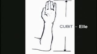 K Hovind Der Garten Eden 5 Dtsch