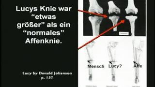 K Hovind Der Garten Eden 6 Dtsch