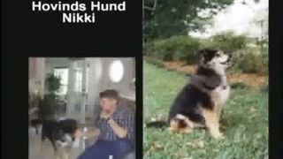 Kent Hovind -Die Dinosaurier und die Bibel- Teil 1 Dtsch