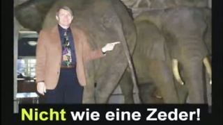 K Hovind Die Dinosaurier 6 Dtsch