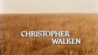 Сара в поисках счастья 2