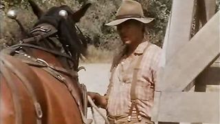 Сара в поисках счастья 2