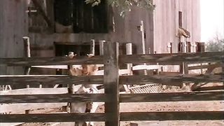 Сара в поисках счастья 2