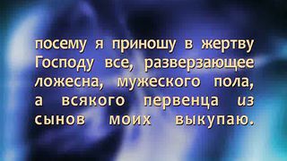 Александр Болотников - Откровение 2