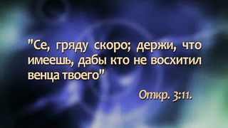 Александр Болотников - Откровение 8