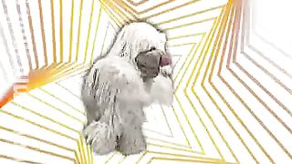 Клип КСК - Три друга