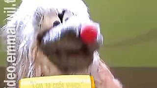 Клип КСК - Сам за себя учись