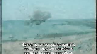 Рон Уайт - От Египта до Синая