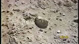 Рон Уайт - Содом и Гоммора