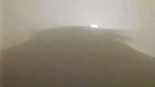 Рон Уайт - Ноев Ковчег