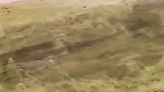 Рон Уайт - Ноев Ковчег