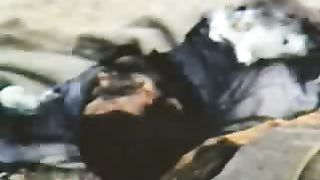 Рон Уайт - Ноев Ковчег