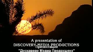 Рон Уайт - Египет