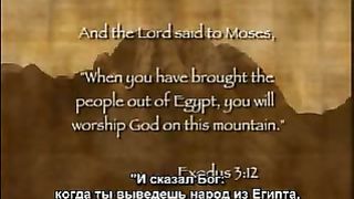 Рон Уайт - Египет