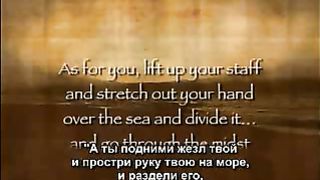 Рон Уайт - Египет