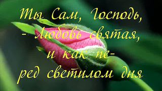 Люблю Спаситель в книге дивной