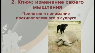 Дорога к Счастью Дорога к Звёздам 3