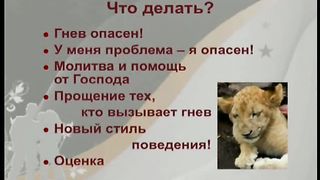 Дорога к Счастью Дорога к Звёздам 6