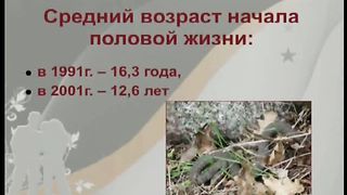 Дорога к Счастью Дорога к Звёздам 7