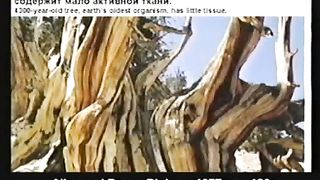 Kent Hovind 1 iz7 Vozrast Zemli Ru