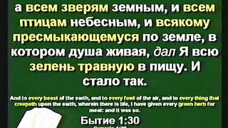 Kent Hovind 2 Edemskij Sad Ru
