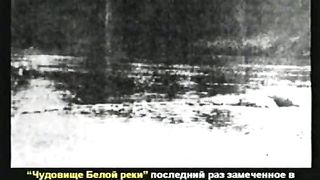 Kent Hovind 3 Dinozavry i Biblija Ru