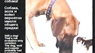 Kent Hovind 4 iz7 Chto naxoditsa v uchebnikax Ru