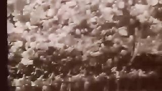 Татьяна Белоус Свидетельство