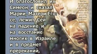 Василий Савич - И тебе самой оружие пройдёт душу