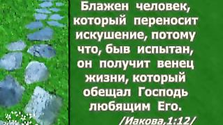 Василий Савич - Блажен человек переносящий искушения