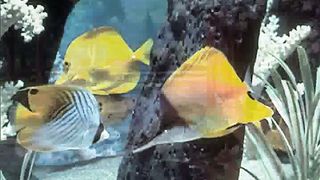 Вадим Бутов - 8 Удивительные открытия в древних городах