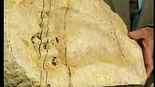 Победоносный голос верующего Понимание сотворения мира 9