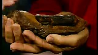 Победоносный голос верующего Понимание сотворения мира 10