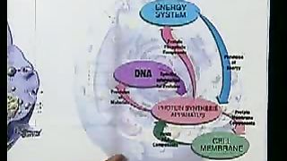 Победоносный голос верующего Понимание сотворения мира 10