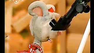 Доброе Слово - О мире и ссорах