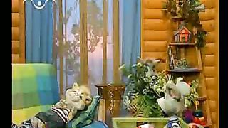 Доброе Слово - Детям О воробушке