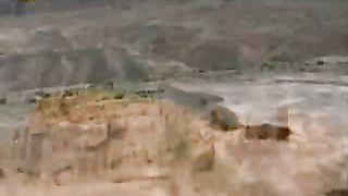 Погибшие города