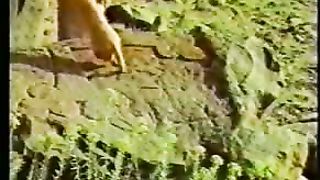 Ноев Ковчег