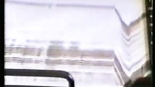 Ноев Ковчег