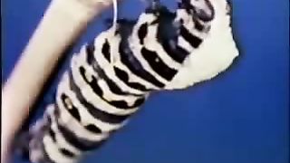 Институт Муди - 1 Загадочная история