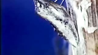 Институт Муди - 1 Загадочная история